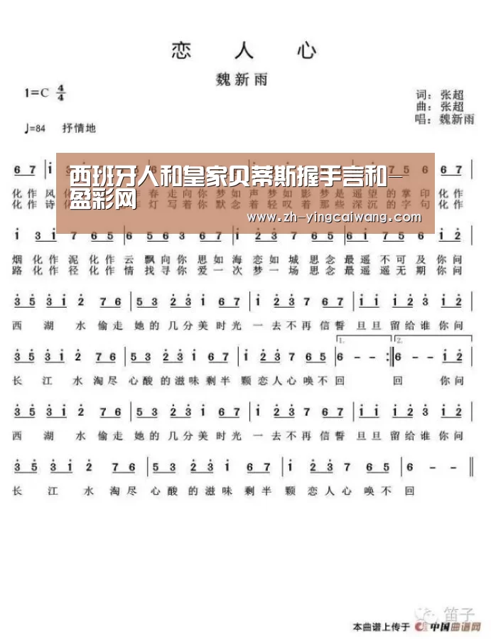 盈彩网