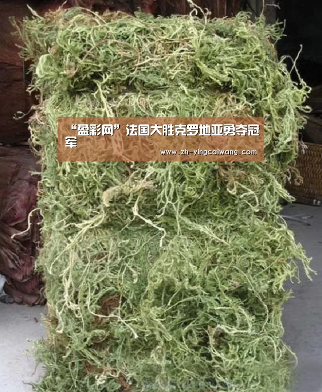 盈彩网