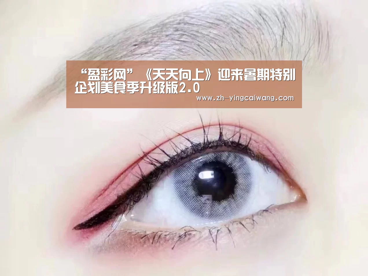 盈彩网