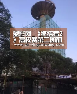 盈彩网