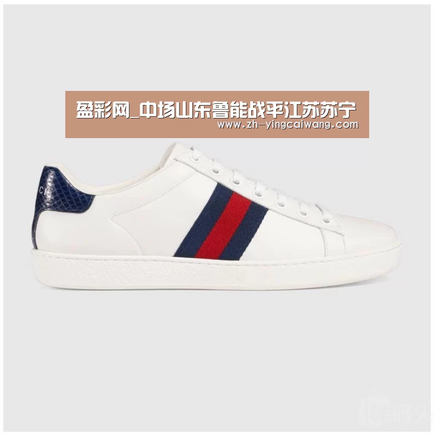 盈彩网
