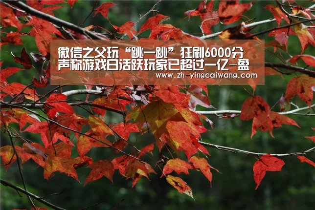 微信之父玩“跳一跳”狂刷6000分 声称游戏日活跃玩家已超过一亿-盈彩网(图1) 盈彩网