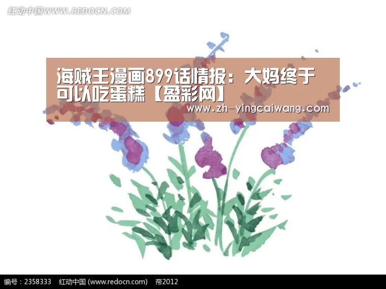 盈彩网
