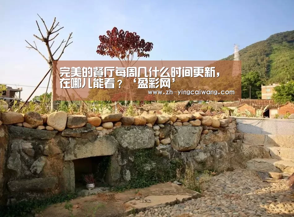 完美的餐厅每周几什么时间更新,在哪儿能看?‘盈彩网’(图1) 盈彩网