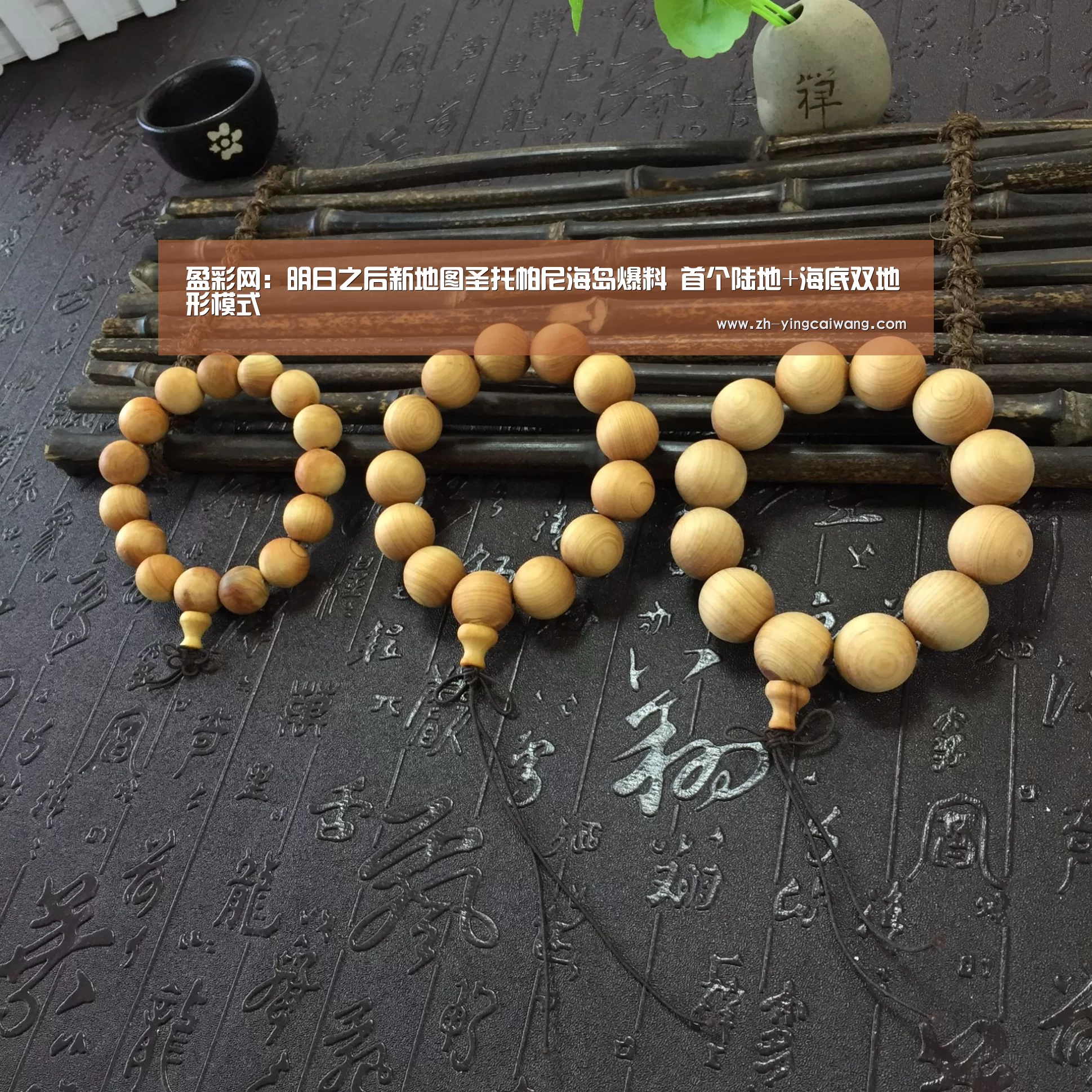 盈彩网