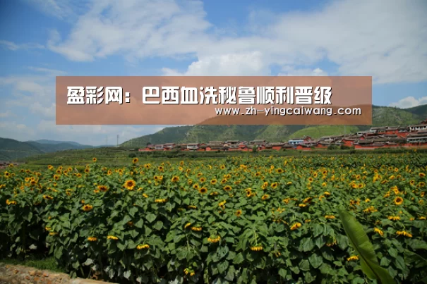 盈彩网