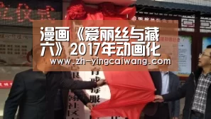 盈彩网