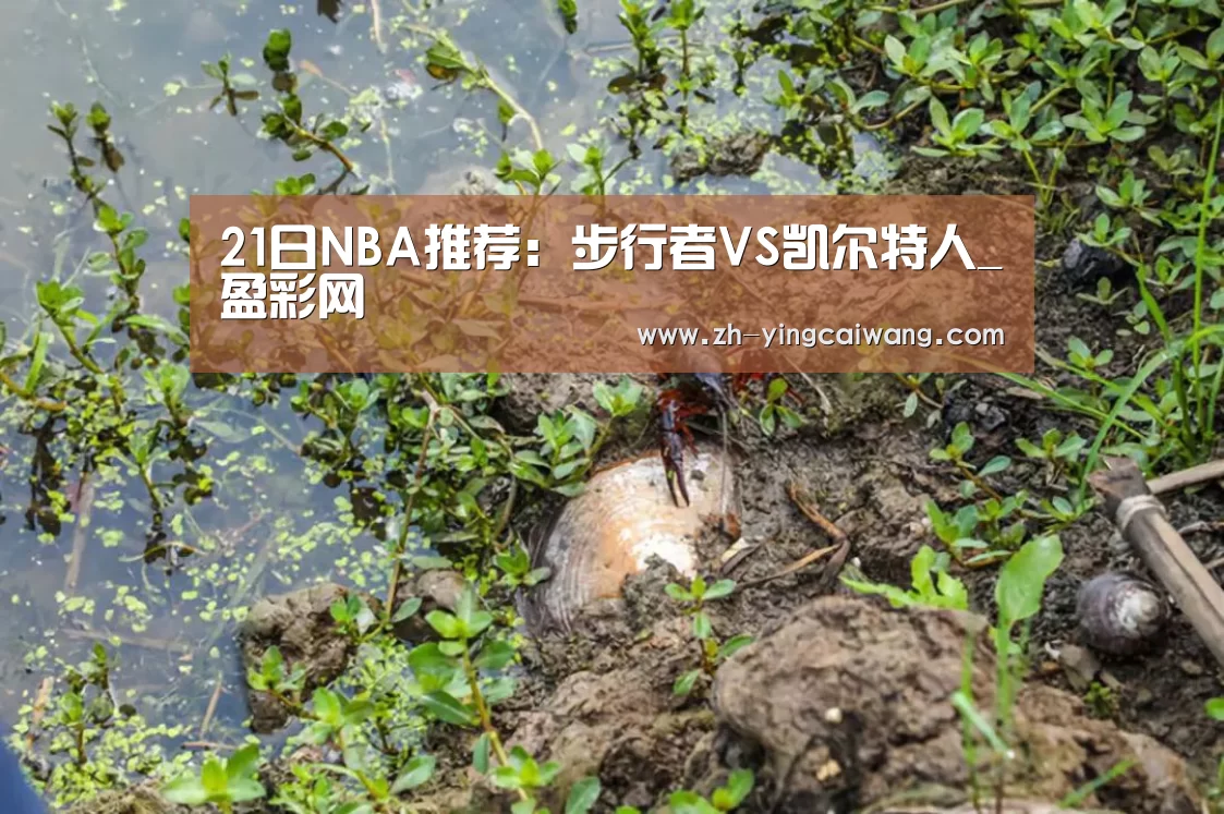21日NBA推荐:步行者VS凯尔特人_盈彩网(图1) 盈彩网
